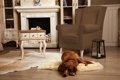 Pamuklu Döşemelik Kahverengi Kanvas Kumaş 1023 - 2